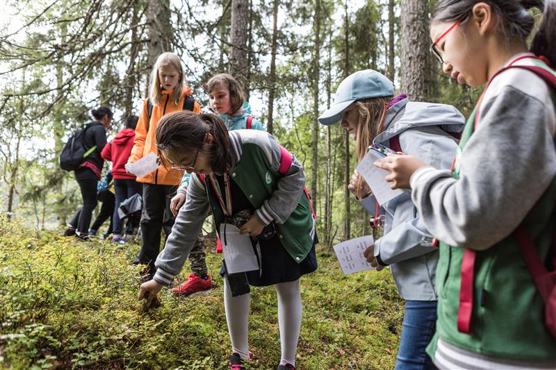 Lahtelaiset jättivät yli 900 ideaa kaupungin kehittämiseksi
